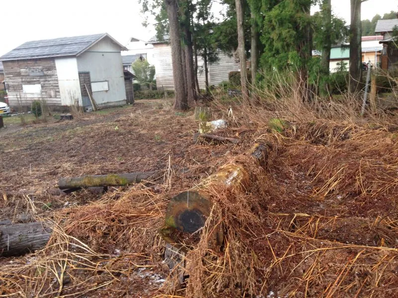 潰れた家の廃材が積み重なった敷地